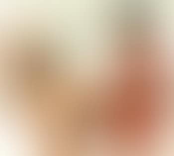 Couverture de l'estampe originale (preview)