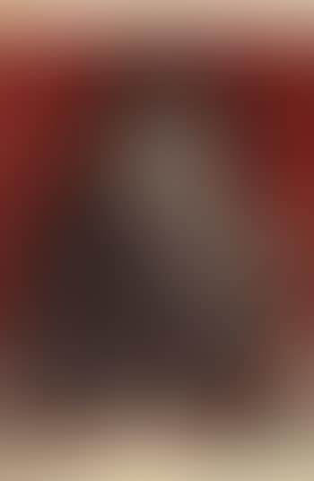 Hibou (preview)
