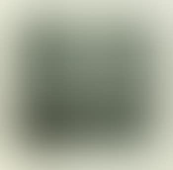 Zillen (preview)