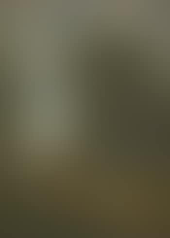 Landscape with cows (preview)