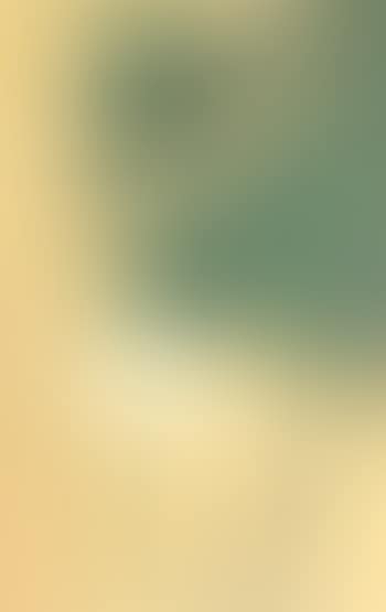 Lotus (preview)
