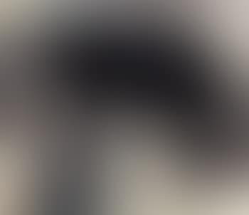 Landscape (preview)