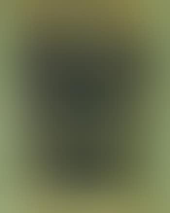 Untitled - Composition (preview)