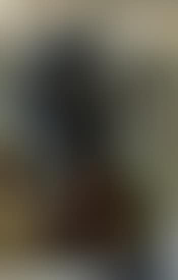 Vase with flowers (preview)