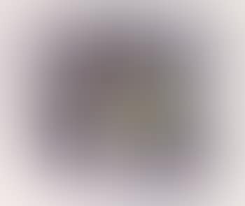 Apple with grey background (preview)