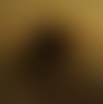Still life of mangosteen (preview)
