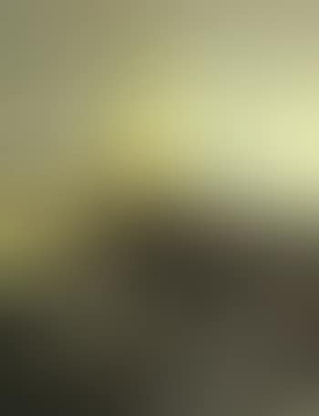 Burning series no 4 (preview)