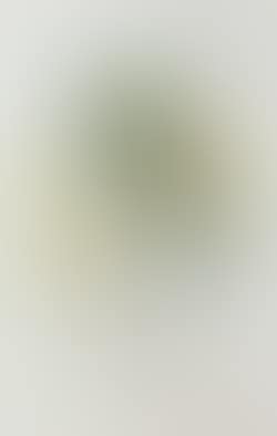 Pamplemousse erotique (preview)