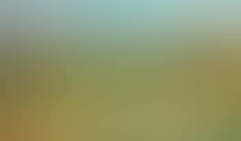 Landscape in Civray (preview)