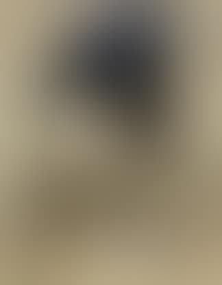 Portrait of Marie Boendermaker-Schoenmaker (preview)