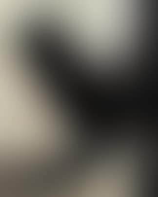 Wallon (preview)