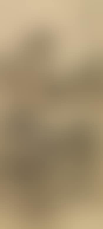 Landscape (preview)
