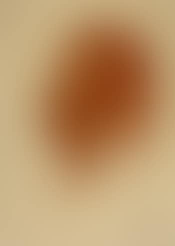 Head of a Mongol (preview)