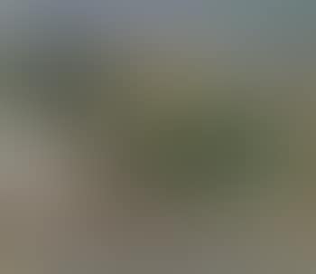 View from North Africa (preview)