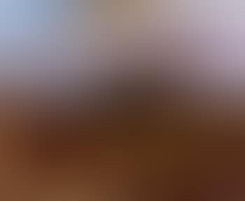 Landscape view (preview)