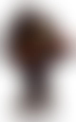 Negro (preview)