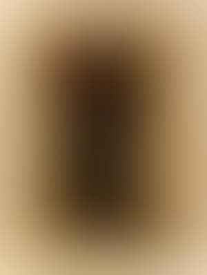 Untitled (preview)