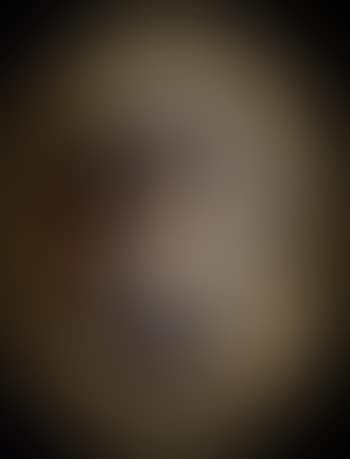 Lady wearing a black dress and white veil (preview)