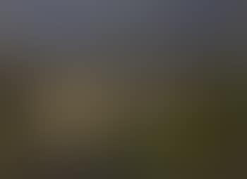 Tessin landscape (preview)