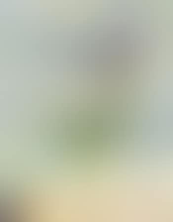 Vase of flowers in blue background (preview)