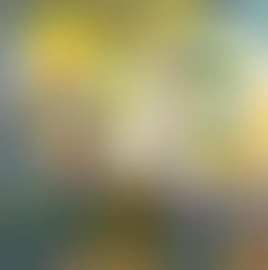 Untitled (preview)