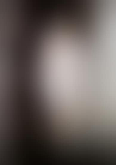 Ema, nude descending a staircase (preview)