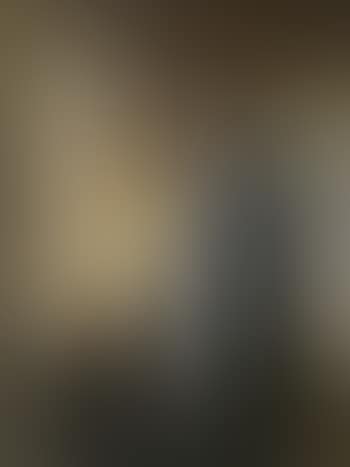 Two Skagen fishermen looking out to sea through window (preview)