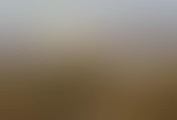 View from Southern Germany (preview)