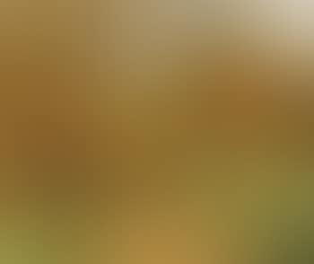 Autumn landscape with hunter (preview)