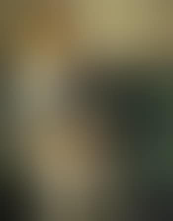 Portrait of the artist's mother (preview)