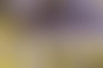 Purple, yellow and blue (preview)