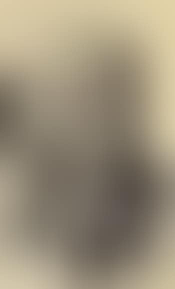 Half-length portrait of an older man (preview)