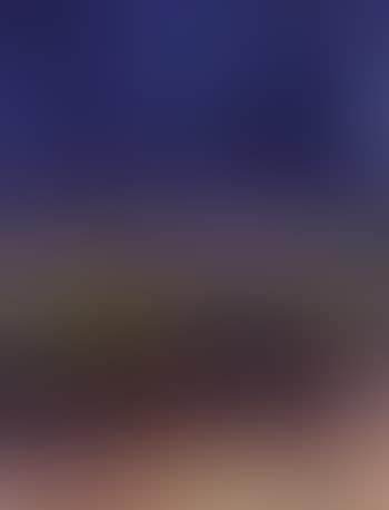 Evening landscape (preview)
