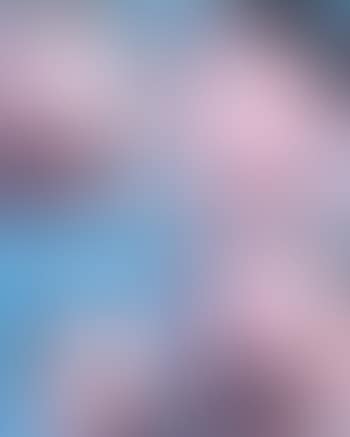 99 Idols Series no.11, 39, 45 and 72 (preview)