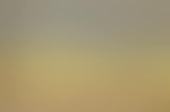 Summer landscape, Skagen Strand, beached boats and figures (preview)