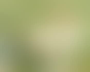 Portrait of female nude relaxing (preview)