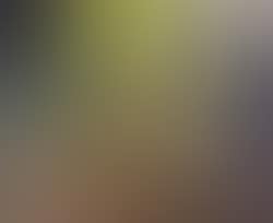 Still life of potted plant (preview)