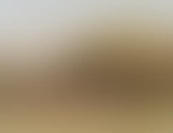 Deer resting in a landscape (preview)