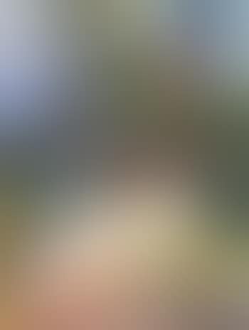 Femme assise dans un jardin (preview)