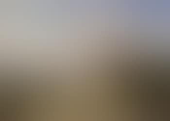 Ram sheep and poultry in a landscape Sheep ducks and poultry in a landscape (preview)