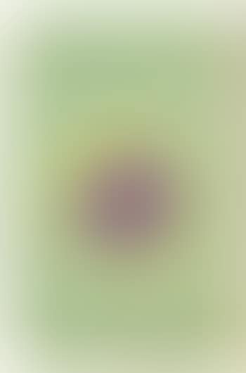 Handmade paper, circle II (preview)