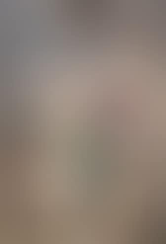 La liseuse (preview)