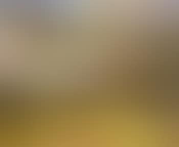 Verger en fleurs (preview)