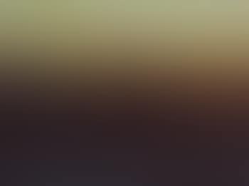Aboriginal stockman Dawn (preview)