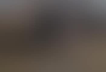 Lad wrestling with two cattle in Altrhein (preview)