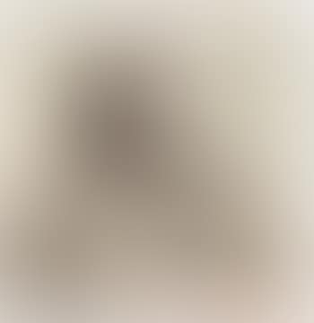 Artist's mother (preview)