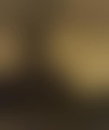 View of a village at dusk (preview)