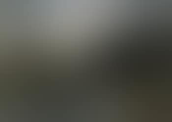 Peasant woman near a farm (preview)