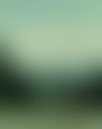 Parc de Saint-Cloud (preview)