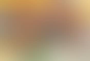 13 August (preview)